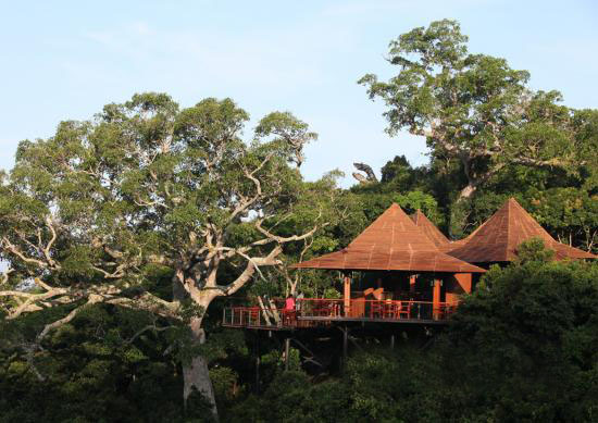 森林旅游策劃咨詢公司:三亞亞龍灣熱帶天堂森林公園花生地鳥巢度假村-煙波亭(一)
