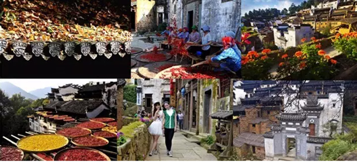 鄉(xiāng)村旅游規(guī)劃