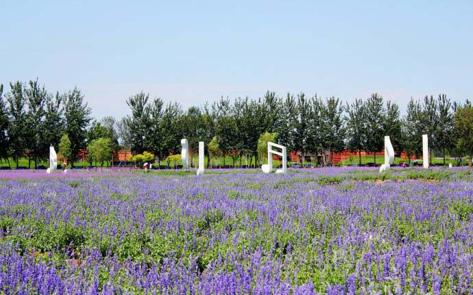 深度剖析景區(qū)的誤區(qū)、新發(fā)現(xiàn)及投資