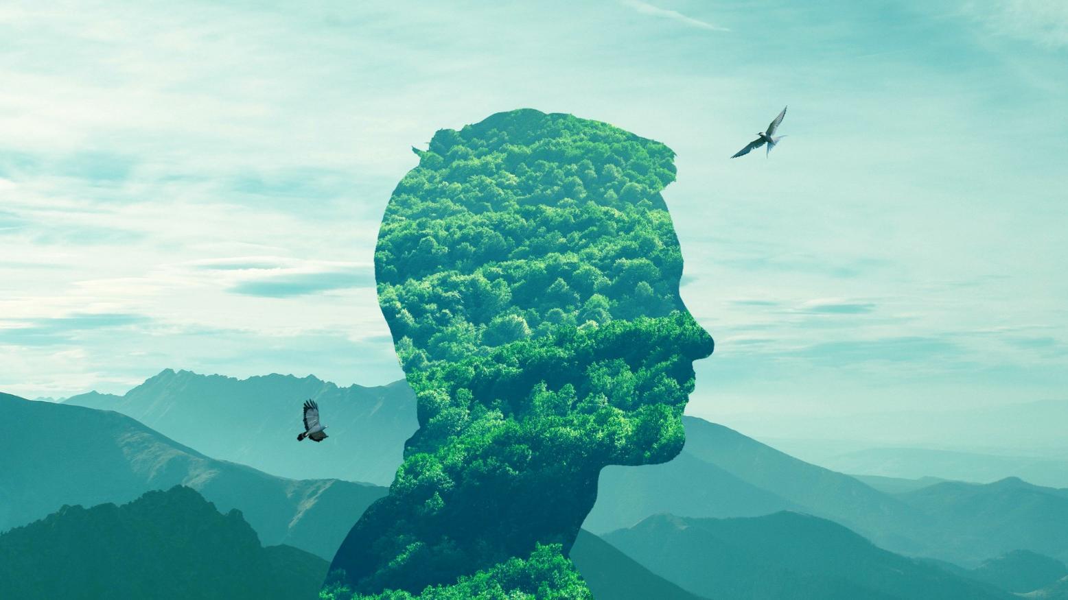 超級(jí)重磅：農(nóng)村集體土地直接入市開發(fā)，無需國家征地(全文+精解）